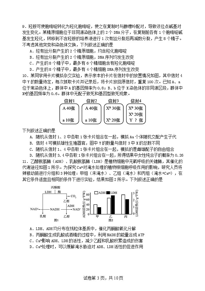 2025厦门一中高三上学期12月月考试题生物含答案第3页