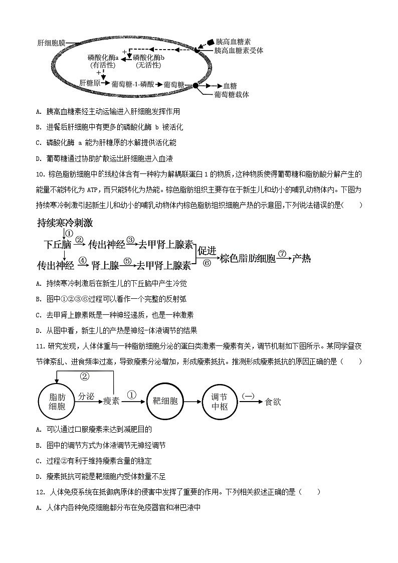 江苏省苏州市2023_2024学年高二生物上学期期中试题无答案第3页
