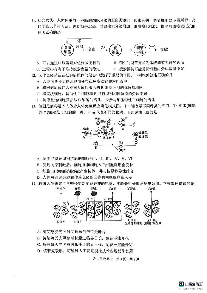 江苏省苏州市2023_2024学年高二生物上学期期中调研试题pdf无答案第3页