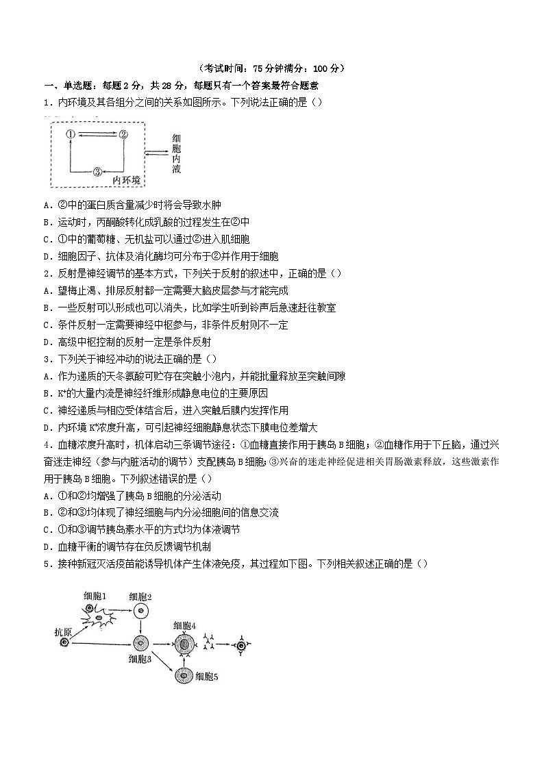 江苏省泰州市2023_2024学年高二生物上学期期中试题无答案第1页