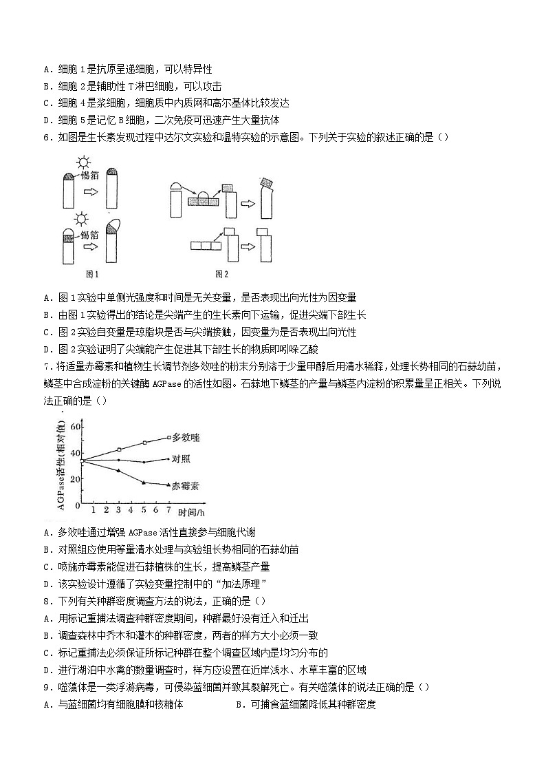 江苏省泰州市2023_2024学年高二生物上学期期中试题无答案第2页