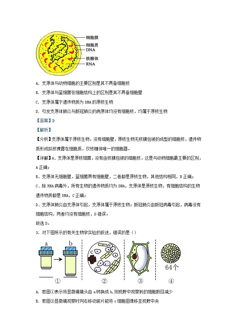 江苏省无锡市江阴市四校2023_2024学年高一生物上学期期中联考试题含解析第2页