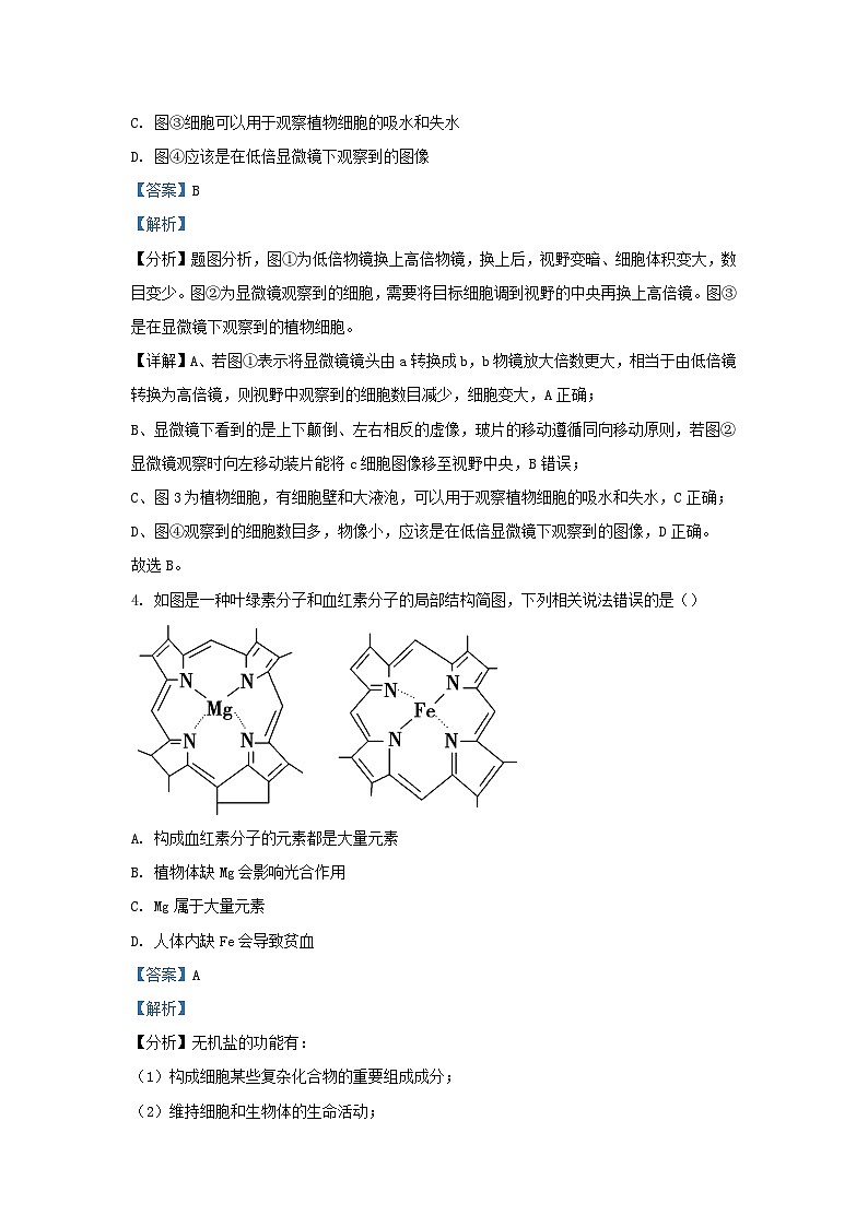 江苏省无锡市江阴市四校2023_2024学年高一生物上学期期中联考试题含解析第3页