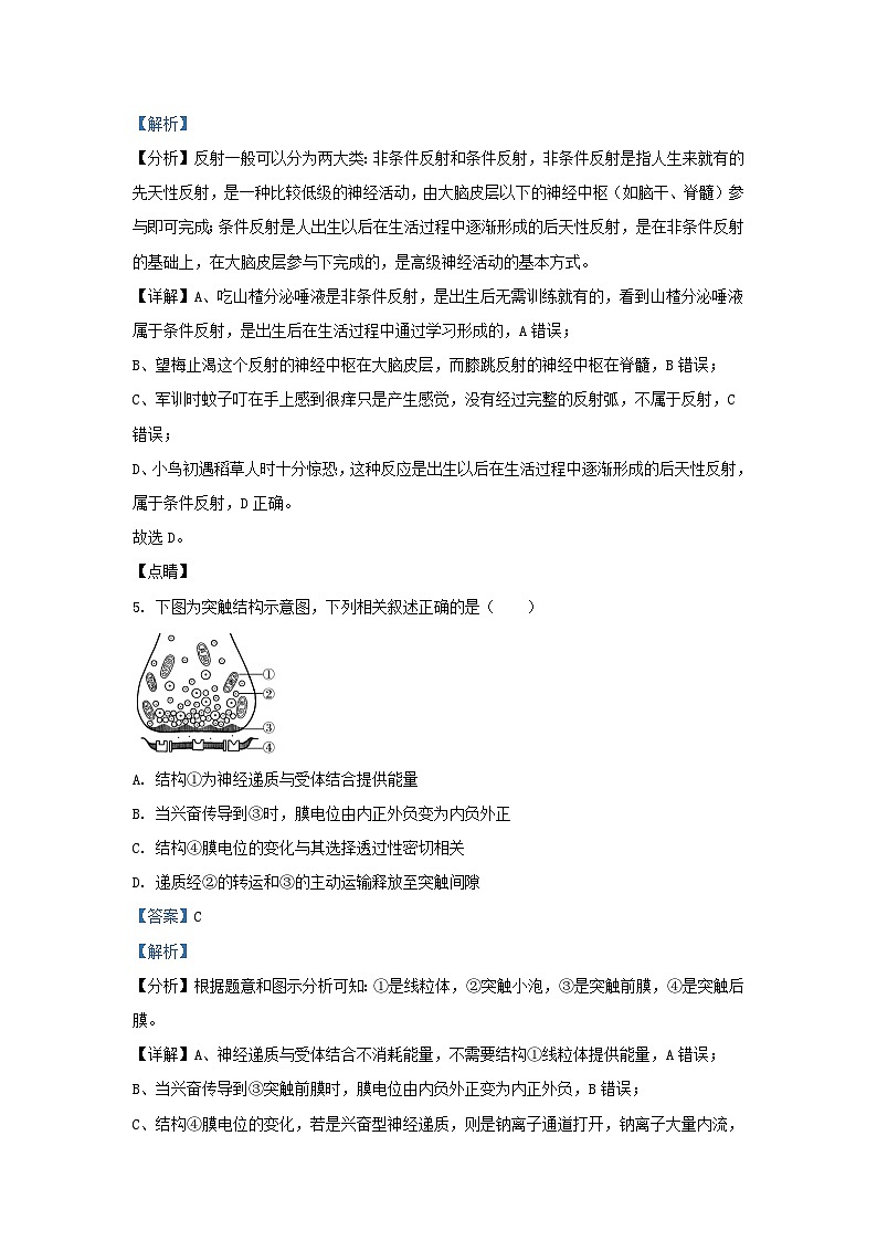 江苏省盐城市2023_2024学年高二生物上学期期中试题含解析第3页