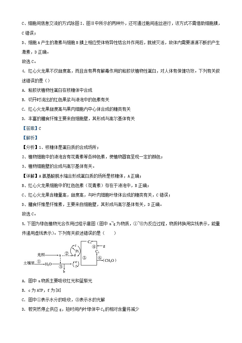 四川省南充市2023_2024学年高二生物上学期11月期中试题含解析第3页