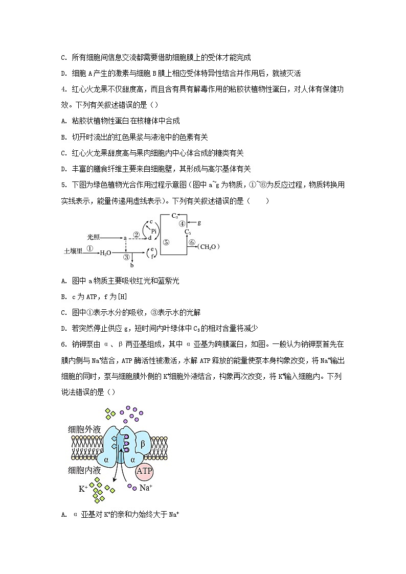 四川省南充市2023_2024学年高二生物上学期期中试题含解析第2页