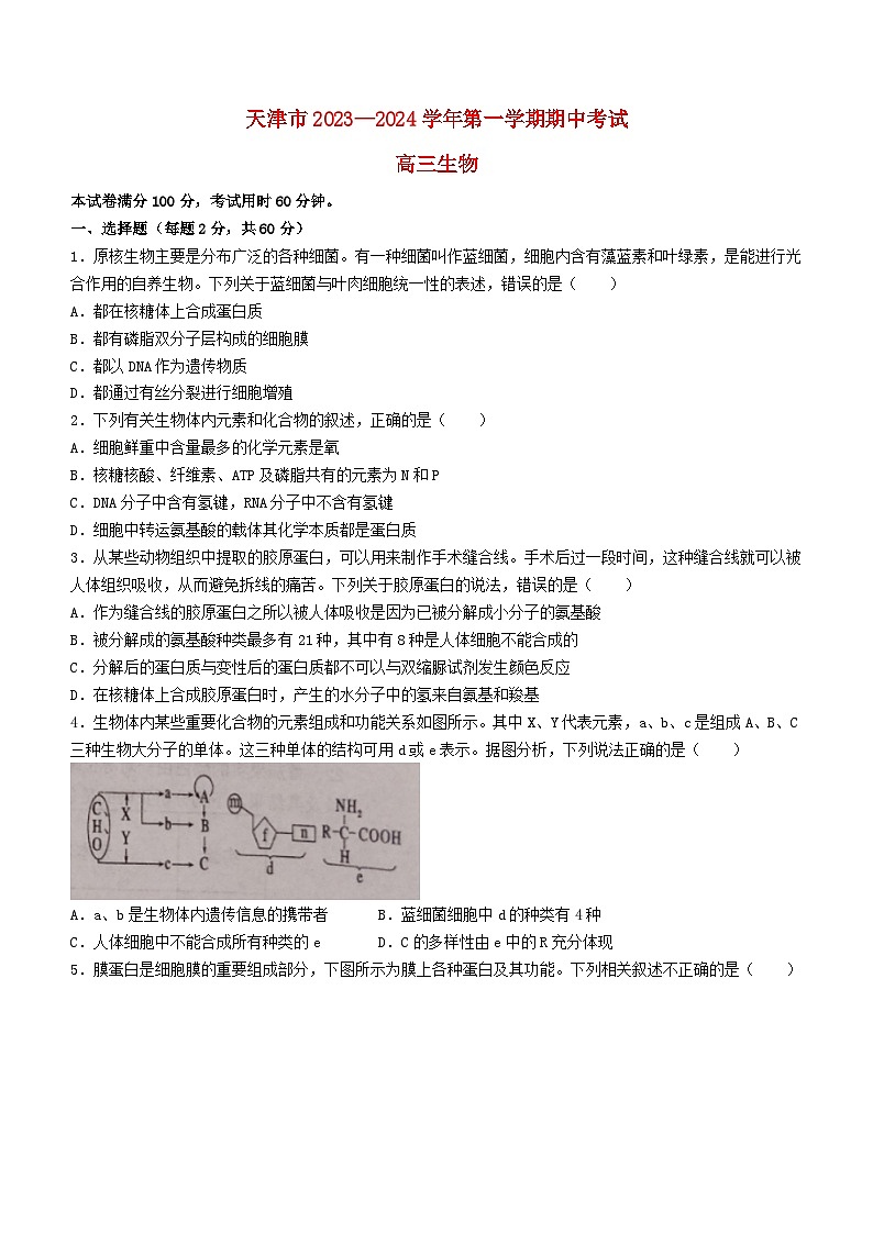 天津市2023_2024学年高三生物上学期期中试题第1页
