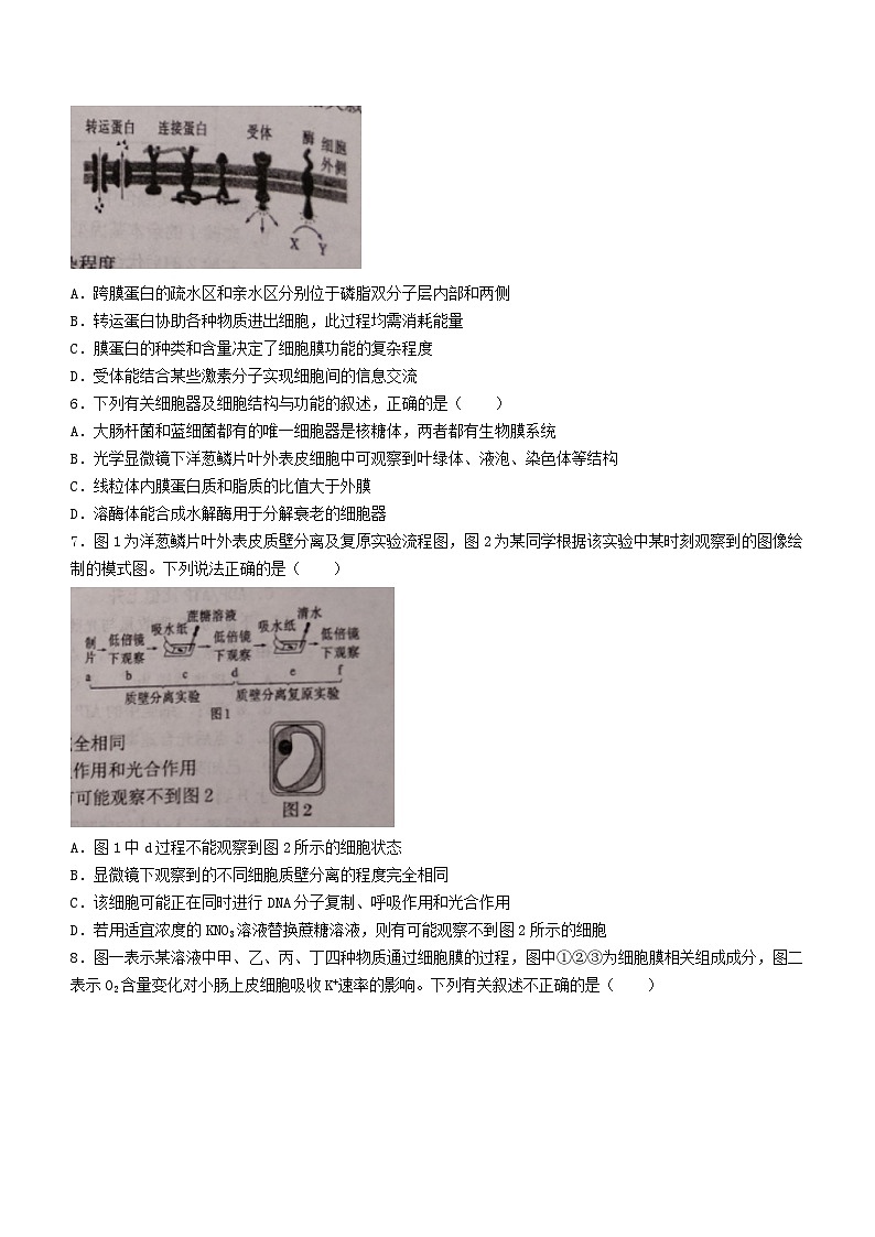天津市2023_2024学年高三生物上学期期中试题第2页