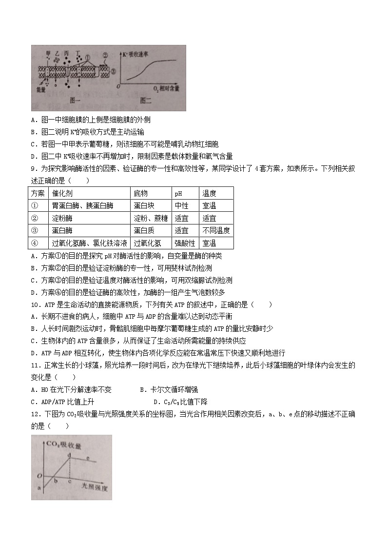 天津市2023_2024学年高三生物上学期期中试题第3页