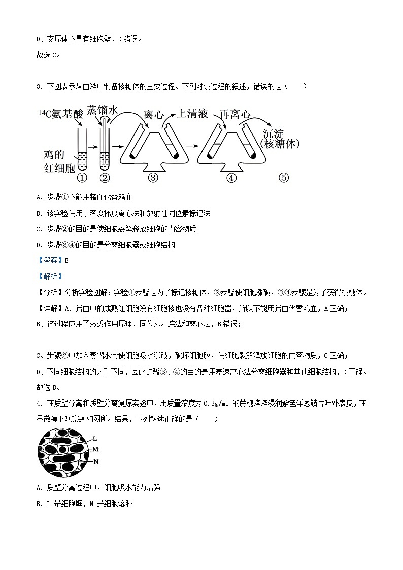 浙江省杭州市2023_2024学年高二生物上学期期中试题含解析第2页