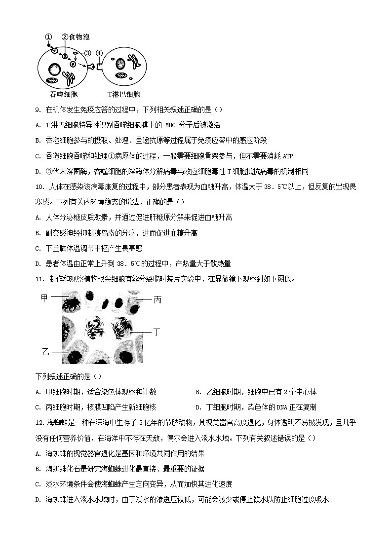 浙江省温州市2023_2024学年高二生物上学期期中联考试题含解析第3页