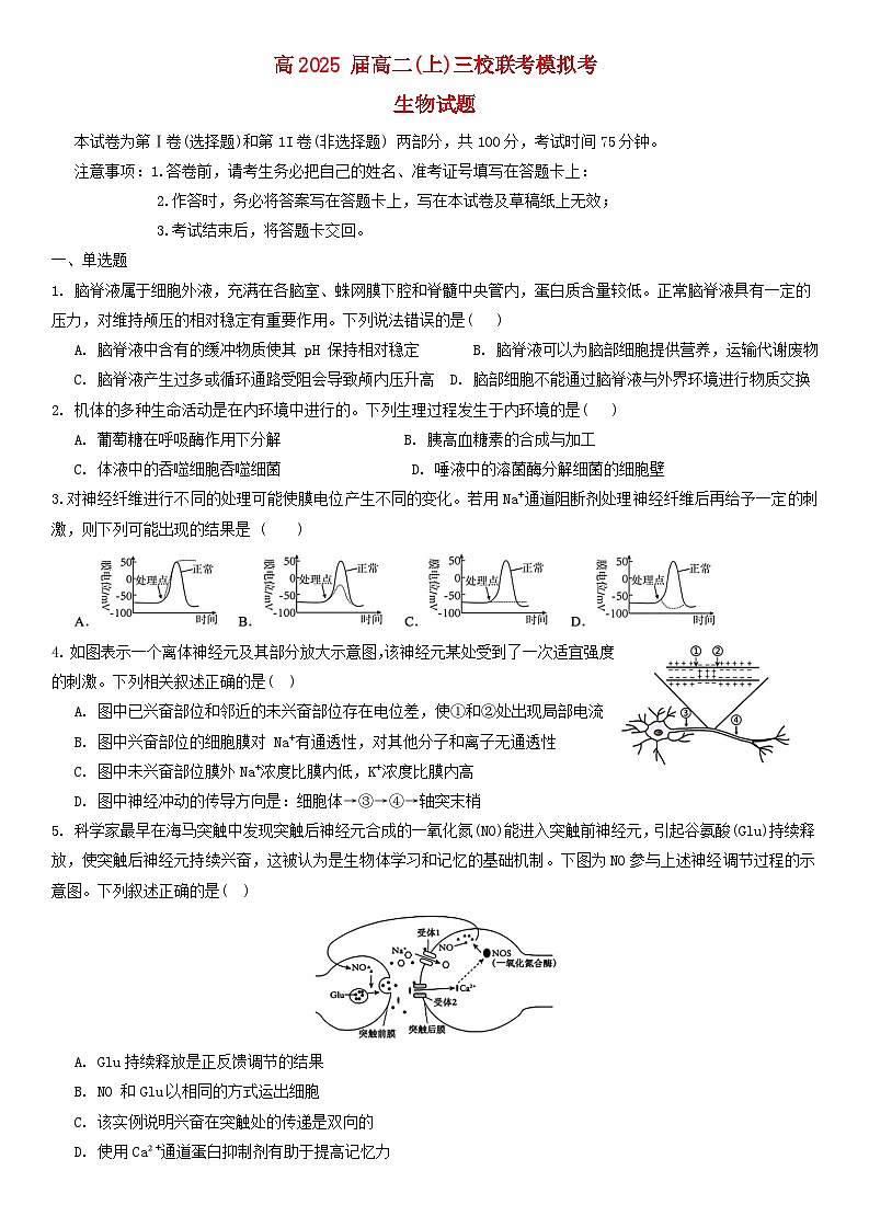 重庆市2023_2024学年高二生物上学期11月模拟考试试题第1页