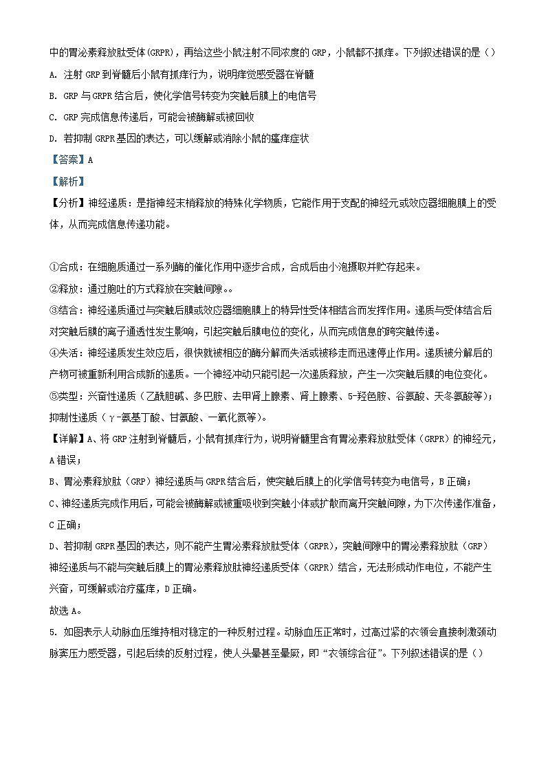 重庆市2023_2024学年高二生物上学期期中试题含解析第3页