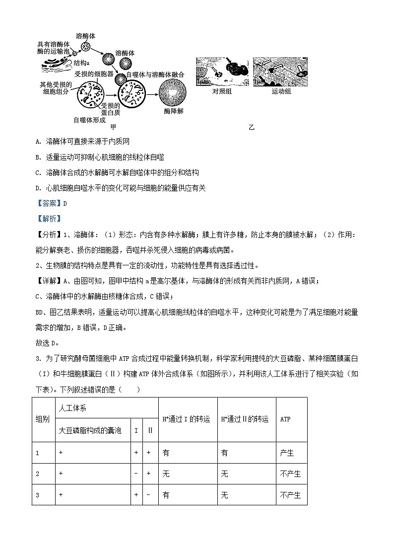 重庆市2023_2024学年高三生物上学期期中试题含解析第2页