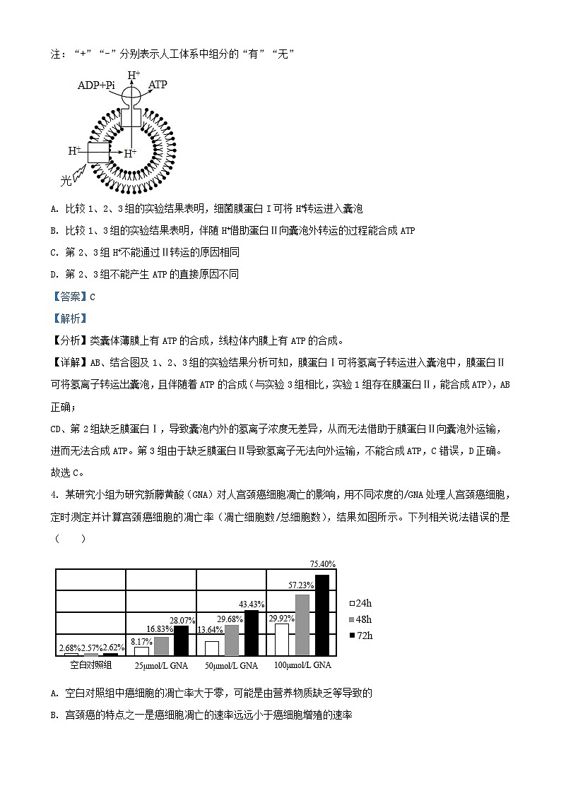 重庆市2023_2024学年高三生物上学期期中试题含解析第3页