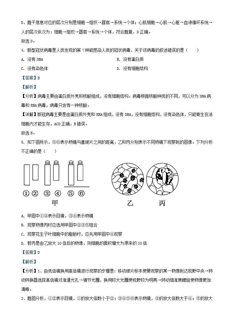 重庆市2023_2024学年高一生物上学期期中试题含解析第3页