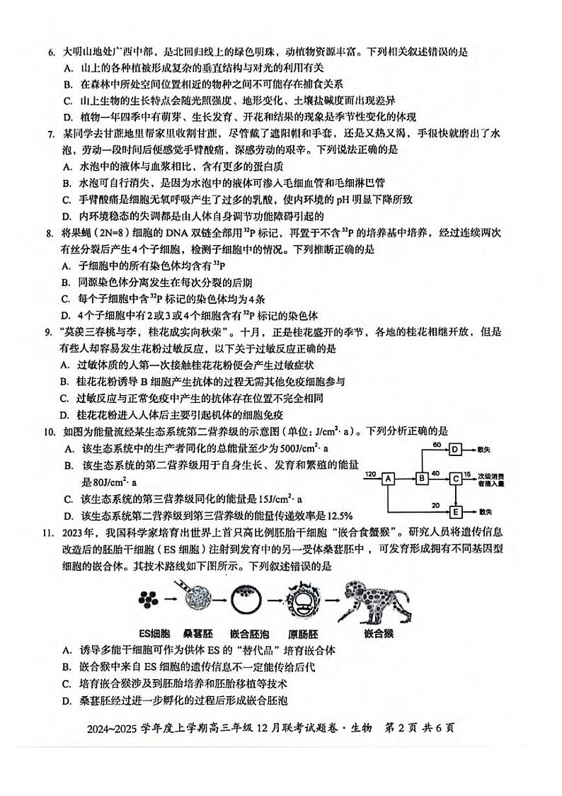 生物丨广西邕衡名校联盟2025届高三12月联考生物试卷及答案第2页