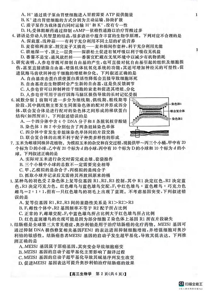 生物丨金科大联考河南省名校联盟2025届高三上学期12月月考生物试卷及答案第2页