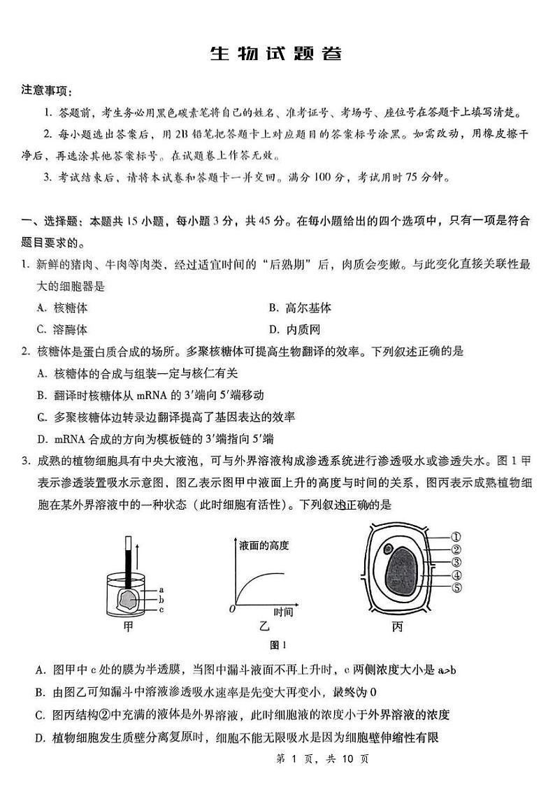 生物丨重庆市第八中学校2025届高三上学期12月适应性月考（四）生物试卷及答案第1页
