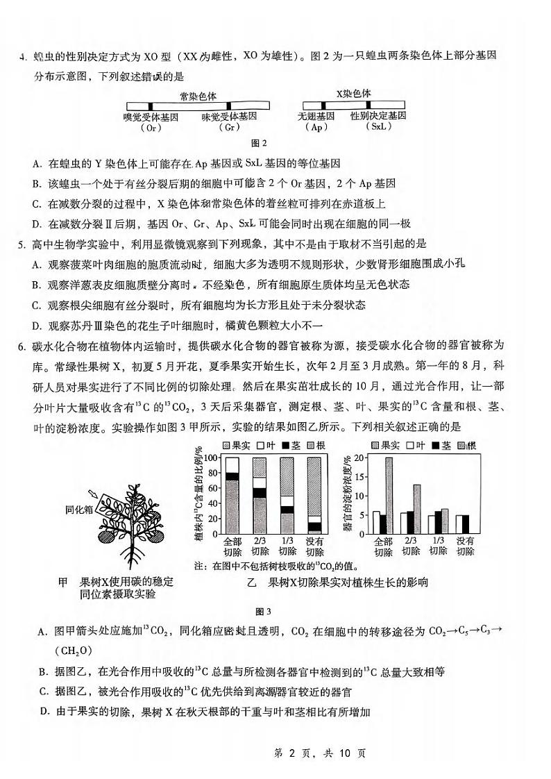 生物丨重庆市第八中学校2025届高三上学期12月适应性月考（四）生物试卷及答案第2页