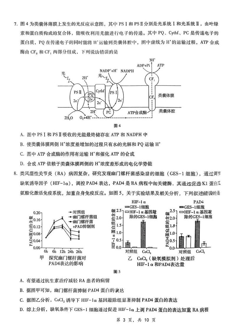 生物丨重庆市第八中学校2025届高三上学期12月适应性月考（四）生物试卷及答案第3页