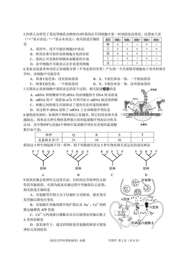 江苏省新高考基地学校2024-2025学年高三上学期12月第一次大联考生物试题第2页
