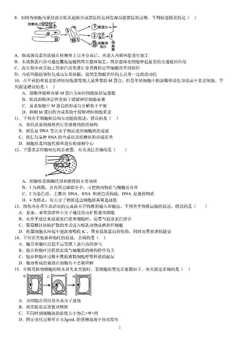 四川省成都市武侯区成都市第七中学2024-2025学年高一上学期12月月考生物试题第2页