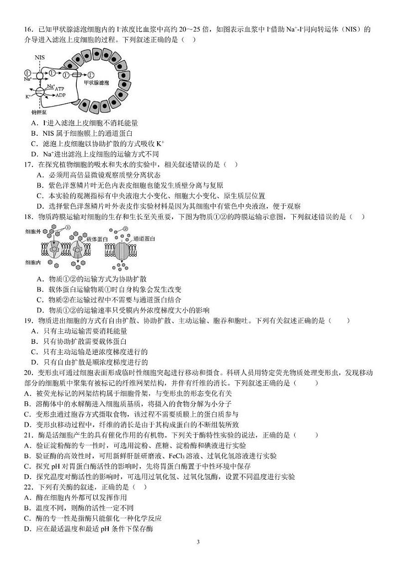 四川省成都市武侯区成都市第七中学2024-2025学年高一上学期12月月考生物试题第3页