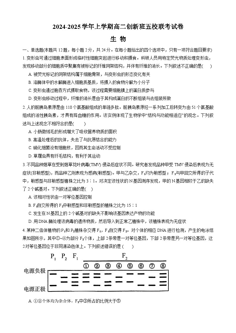 江西省宜春市丰城市创新班五校2024~2025学年高二上学期12月联考生物试题第1页