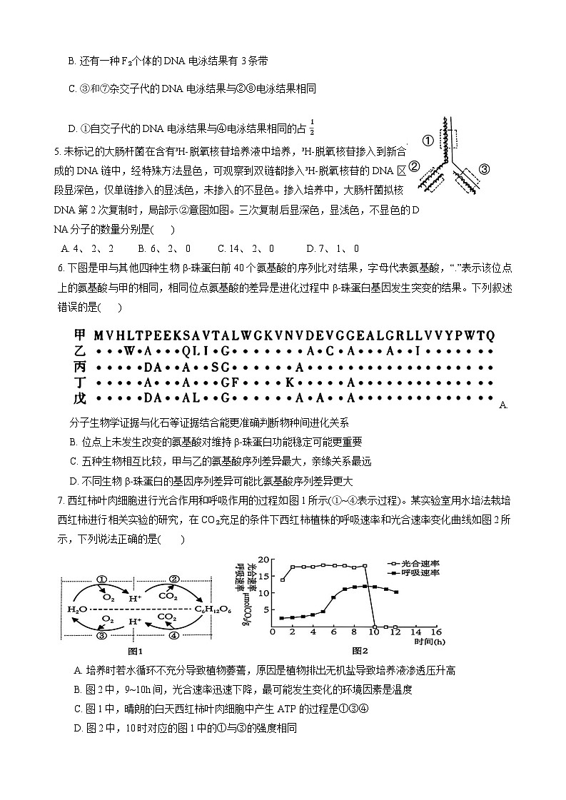 江西省宜春市丰城市创新班五校2024~2025学年高二上学期12月联考生物试题第2页