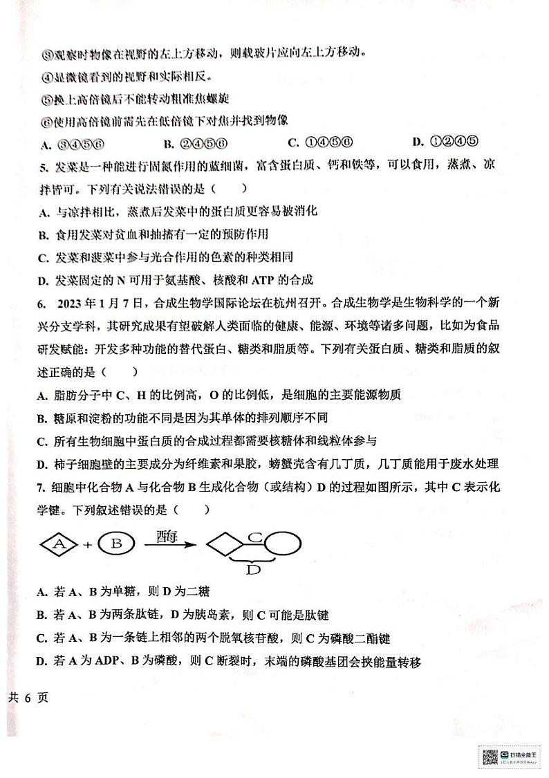 河南省南阳市邓州市第二高级中学校2024-2025学年高一上学期12月月考生物试题第2页