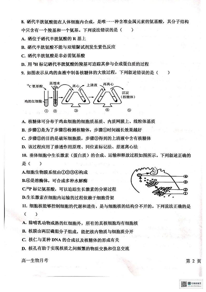 河南省南阳市邓州市第二高级中学校2024-2025学年高一上学期12月月考生物试题第3页