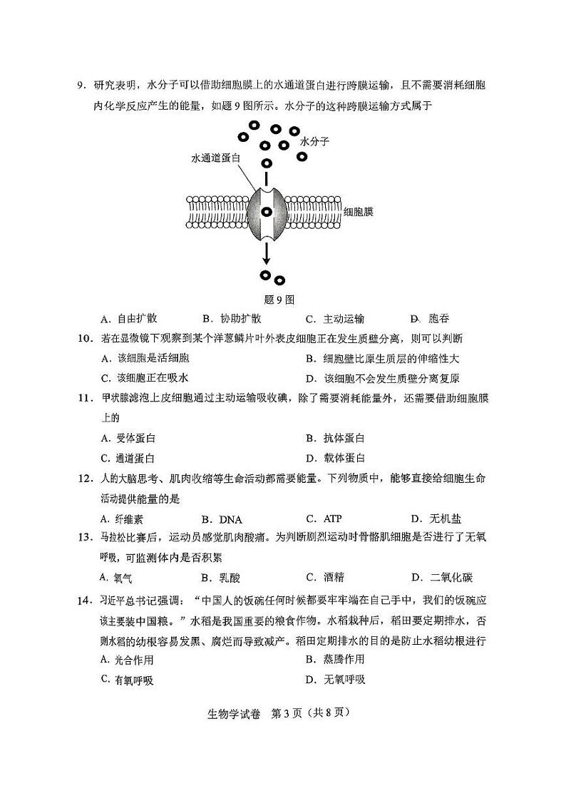2024年湖北省普通高中学业水平合格性考试生物试题第3页