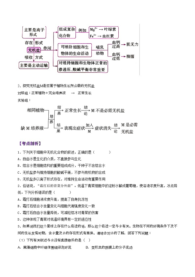 【寒假衔接讲义】人教版 高中生物 高一寒假 第01讲 组成细胞的分子（学生版）第3页