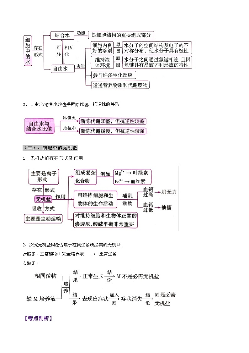 【寒假衔接讲义】人教版 高中生物 高一寒假 第01讲 组成细胞的分子（教师版）第3页
