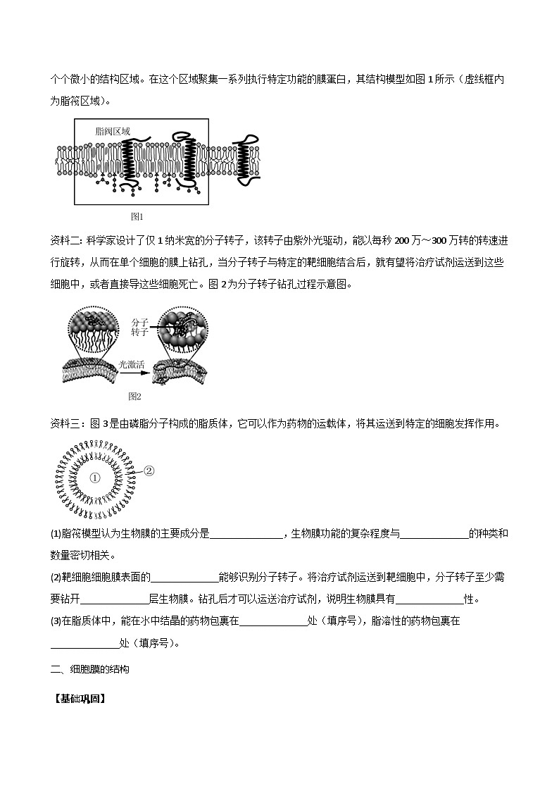 【寒假衔接讲义】人教版 高中生物 高一寒假 第02讲 细胞膜的成分、结构、功能和物质出入细胞（学生版）第2页