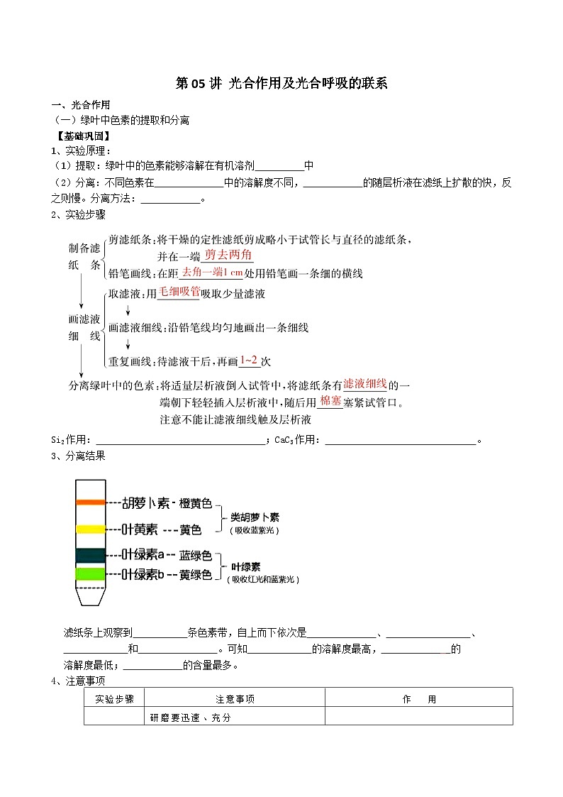 【寒假衔接讲义】人教版 高中生物 高一寒假 第05讲 光合作用及光合呼吸的联系（学生版）第1页