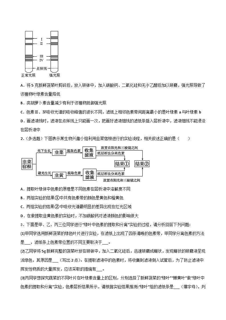 【寒假衔接讲义】人教版 高中生物 高一寒假 第05讲 光合作用及光合呼吸的联系（学生版）第3页