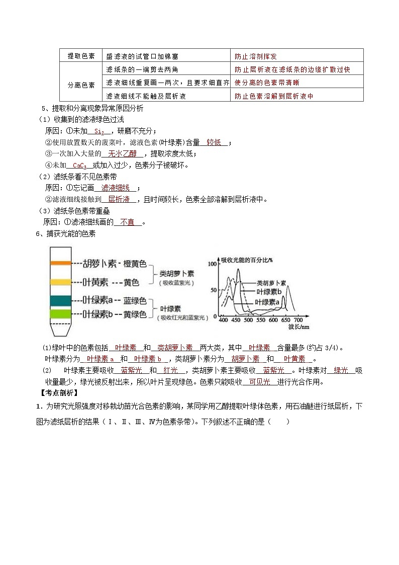 【寒假衔接讲义】人教版 高中生物 高一寒假 第05讲 光合作用及光合呼吸的联系（教师版）第2页