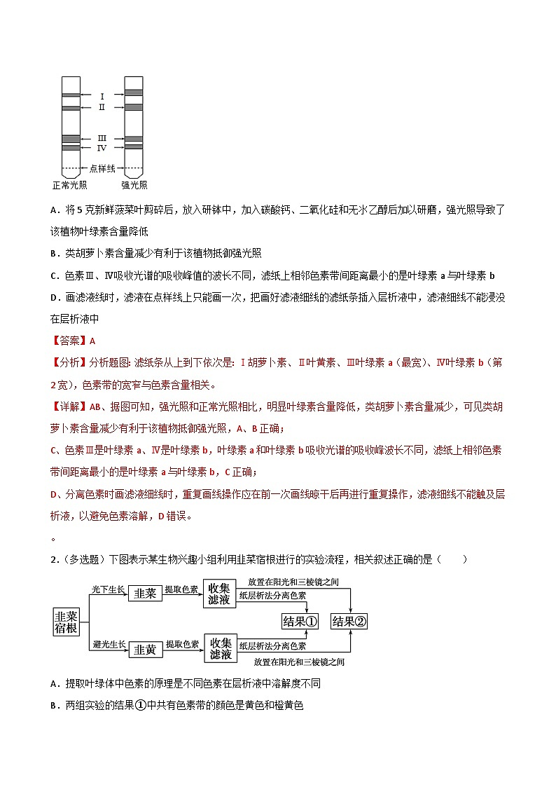 【寒假衔接讲义】人教版 高中生物 高一寒假 第05讲 光合作用及光合呼吸的联系（教师版）第3页