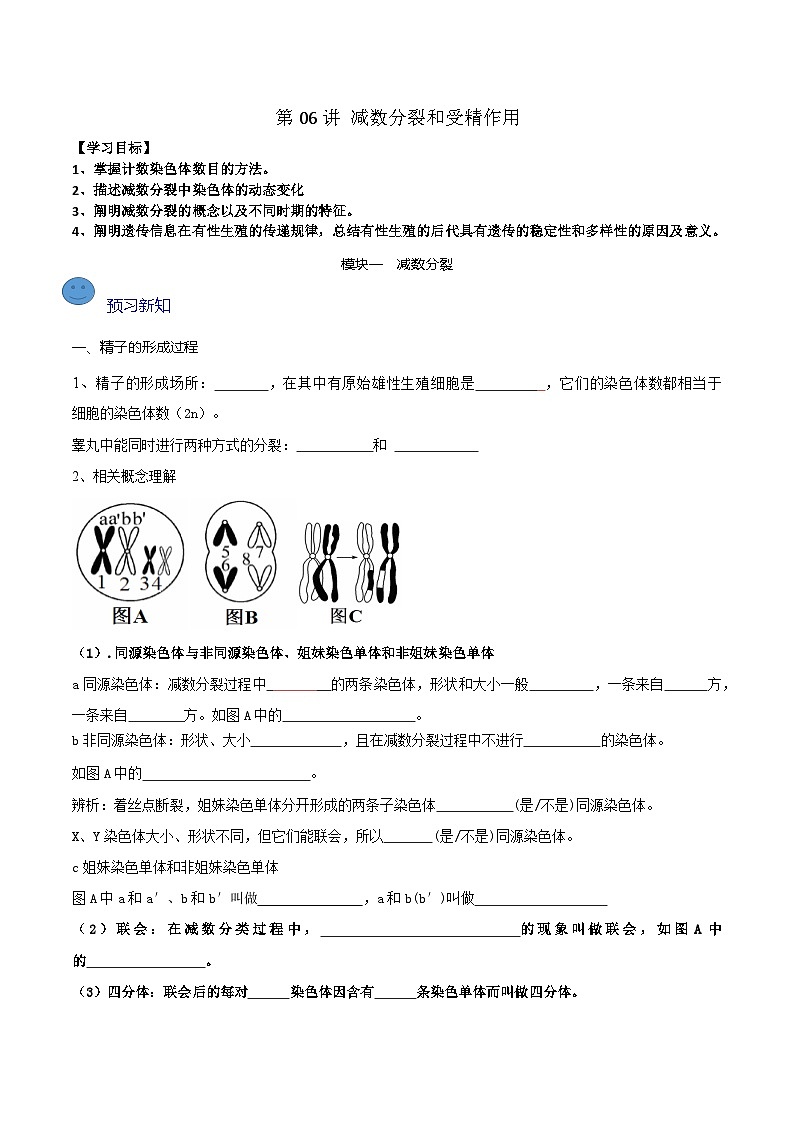 【寒假衔接讲义】人教版 高中生物 高一寒假 第06讲 减数分裂和受精作用（学生版）第1页