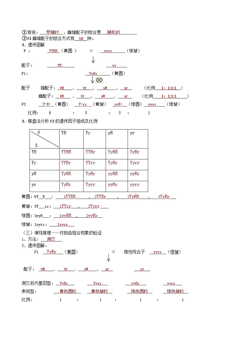 【寒假衔接讲义】人教版 高中生物 高一寒假 第08讲 孟德尔的豌豆杂交实验（二）（教师版）第2页