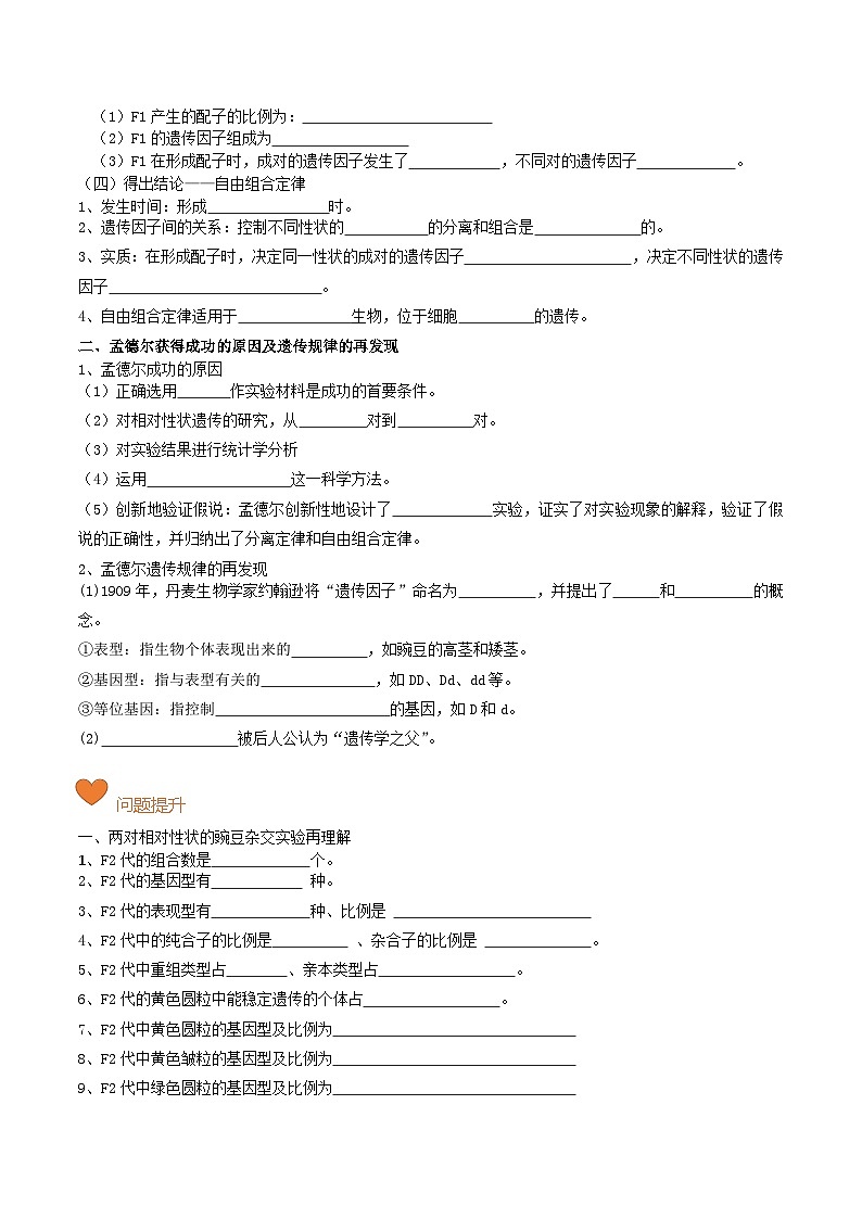 【寒假衔接讲义】人教版 高中生物 高一寒假 第08讲 孟德尔的豌豆杂交实验（二）（学生版）第3页