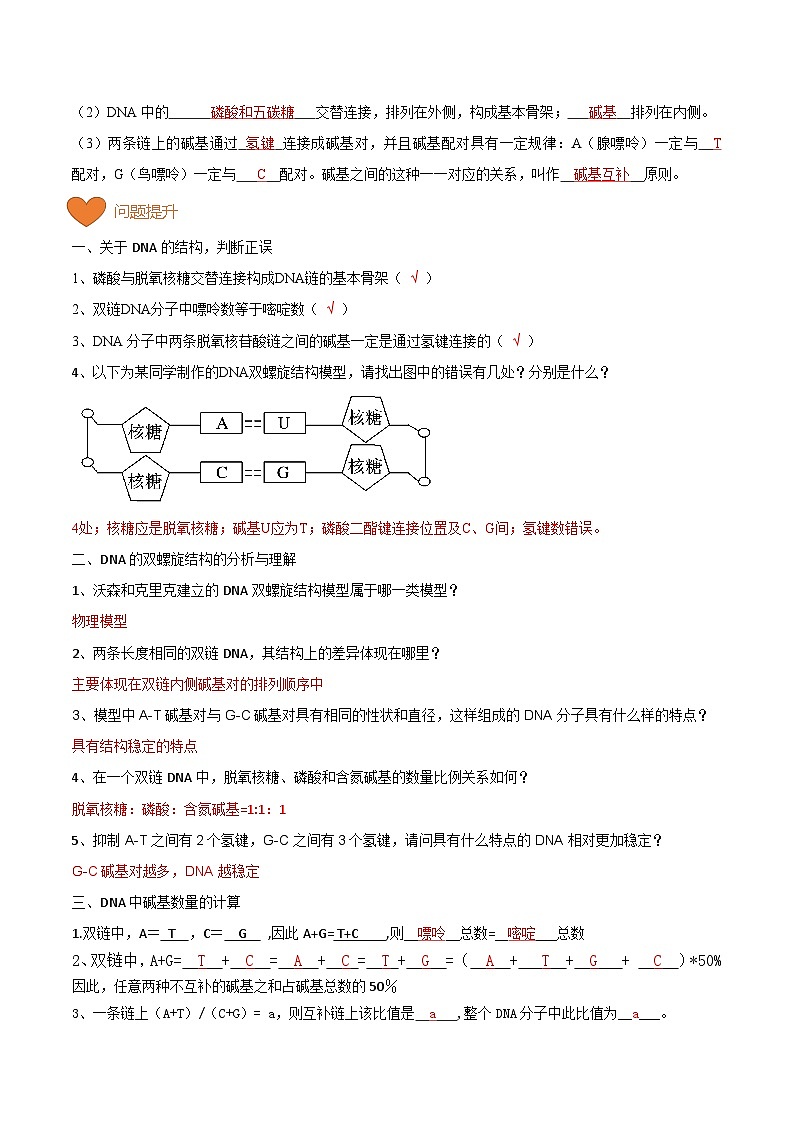 【寒假衔接讲义】人教版 高中生物 高一寒假 第10讲 DNA的结构（教师版）第3页