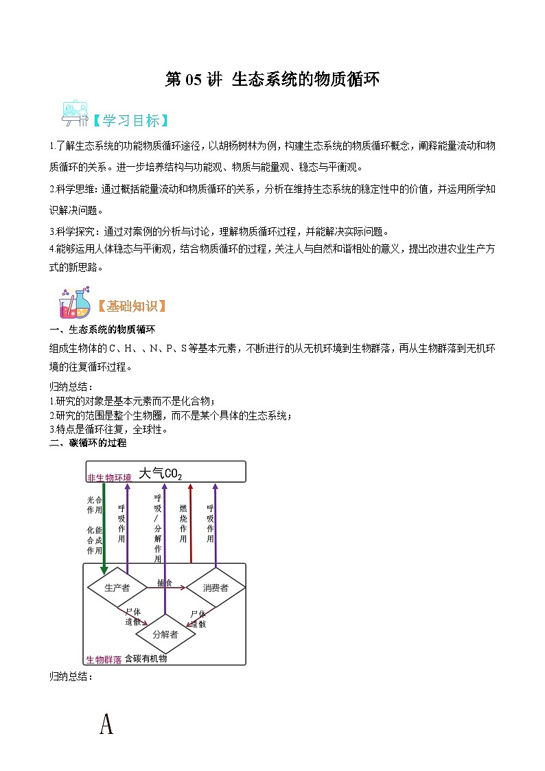 【寒假衔接讲义】人教版（选择性必修2） 高中生物 高二寒假 第05讲 生态系统的物质循环（学生版）第1页