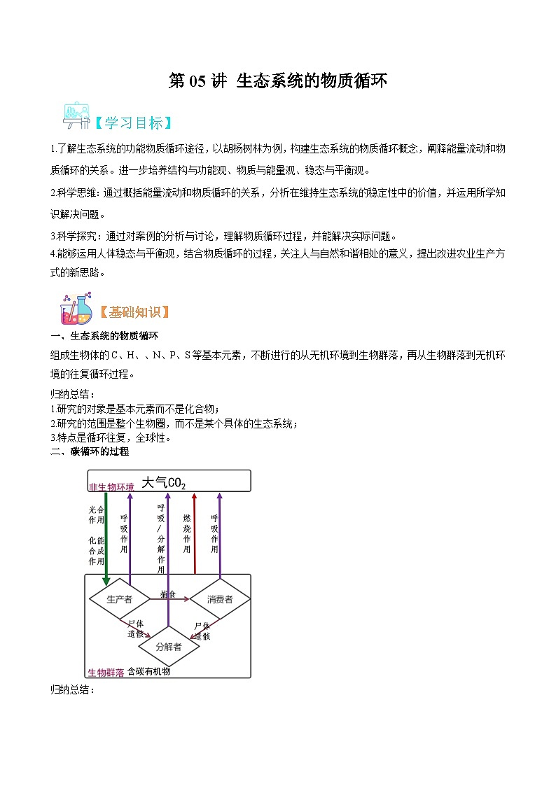 【寒假衔接讲义】人教版（选择性必修2） 高中生物 高二寒假 第05讲 生态系统的物质循环（教师版）第1页