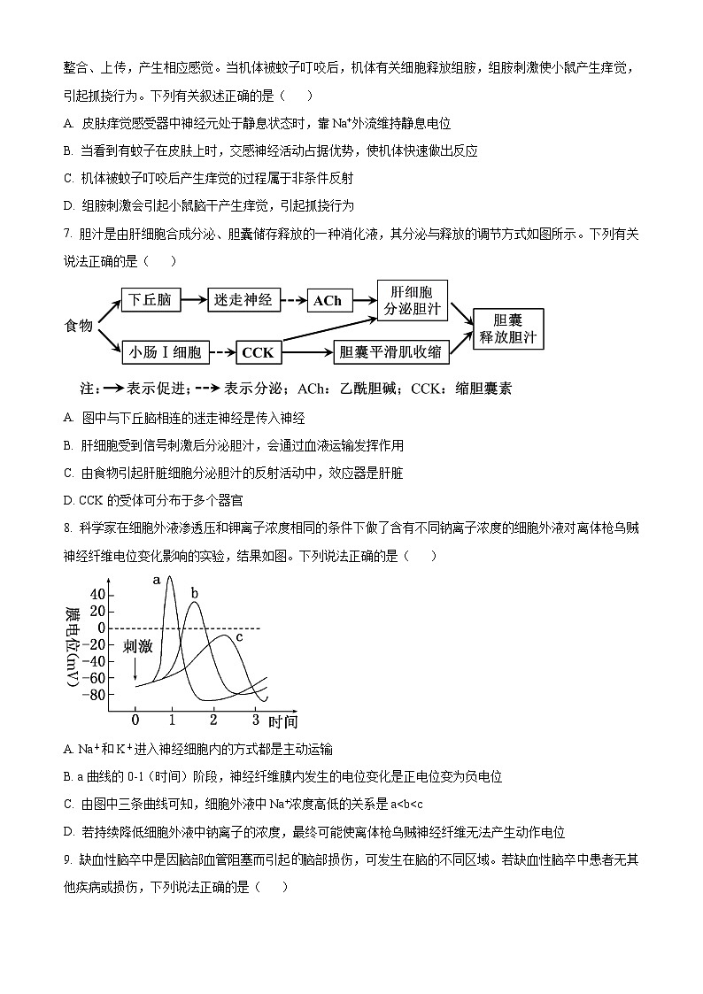 重庆市铜梁中学、江津中学等7校联考2024-2025学年高二上学期12月月考生物试题 Word版无答案第3页