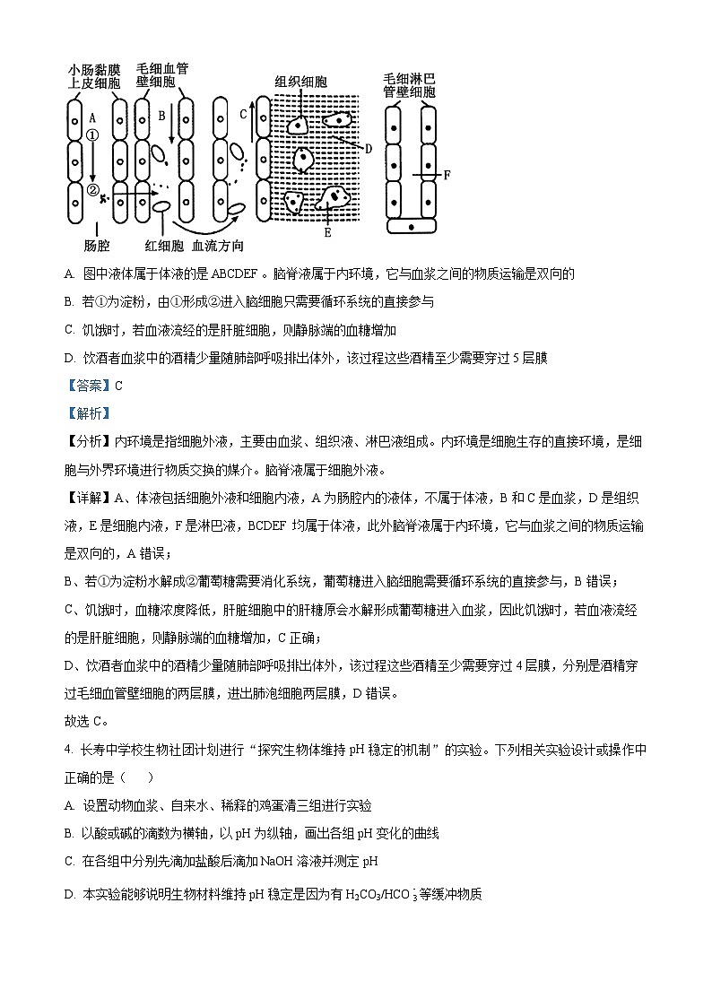 重庆市铜梁中学、江津中学等7校联考2024-2025学年高二上学期12月月考生物试题 Word版含解析第3页