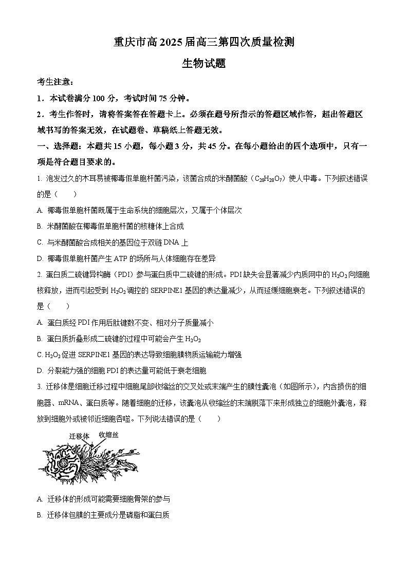 重庆市南开中学2025届高三上学期12月质量检测(四)生物试题 Word版无答案第1页