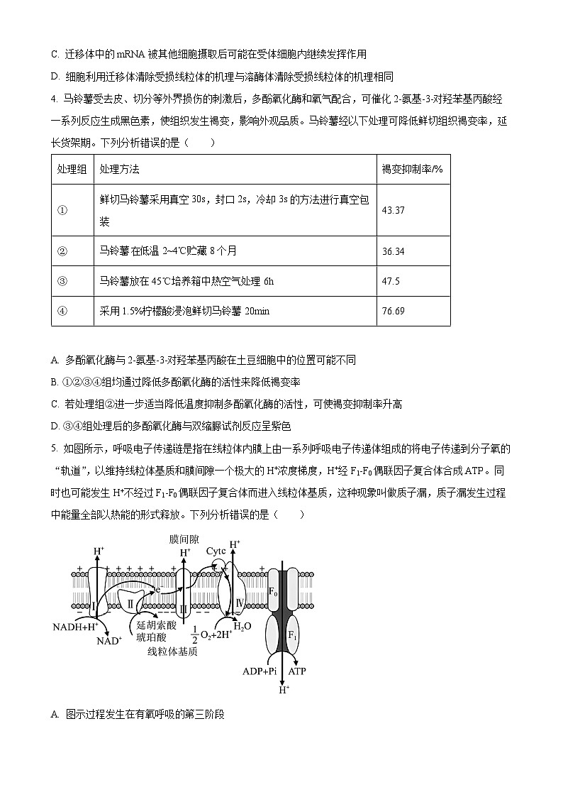 重庆市南开中学2025届高三上学期12月质量检测(四)生物试题 Word版无答案第2页